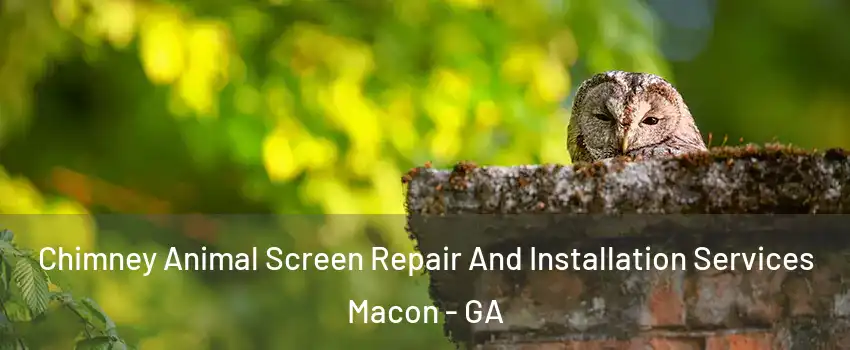 Chimney Animal Screen Repair And Installation Services Macon - GA