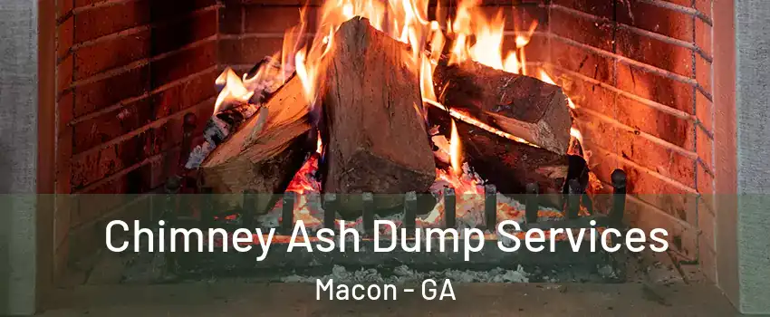  Chimney Ash Dump Services Macon - GA