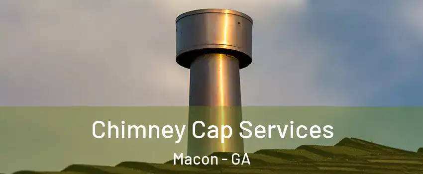  Chimney Cap Services Macon - GA