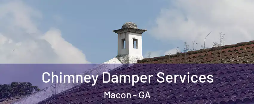  Chimney Damper Services Macon - GA