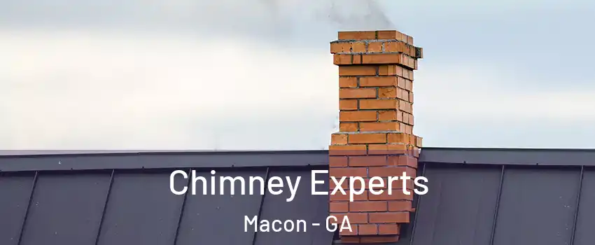 Chimney Experts Macon - GA