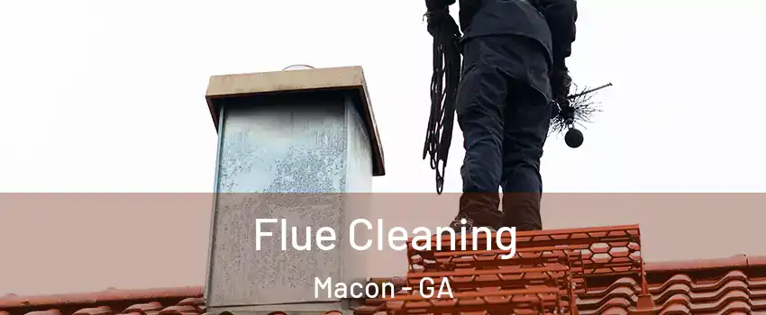  Flue Cleaning Macon - GA