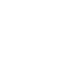 Professional Chimney Flue Installation in Macon, Georgia