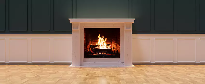 Napoleon Electric Fireplaces Inspection Service in Macon, Georgia