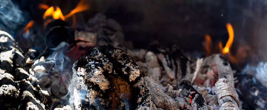 Creosote Removal Experts in Macon, GA