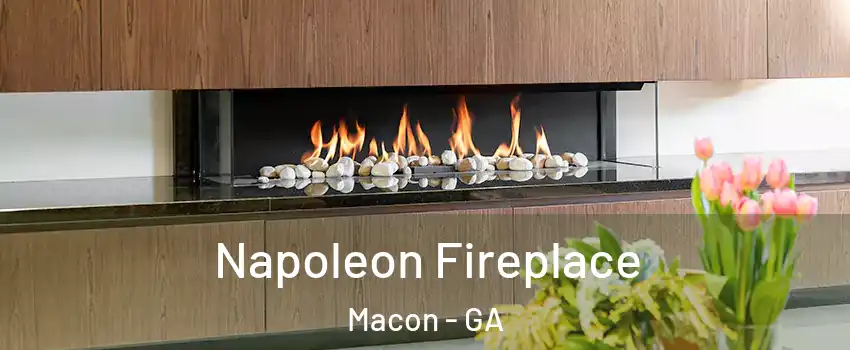  Napoleon Fireplace Macon - GA